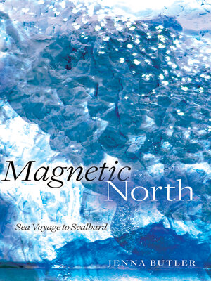 cover image of Magnetic North